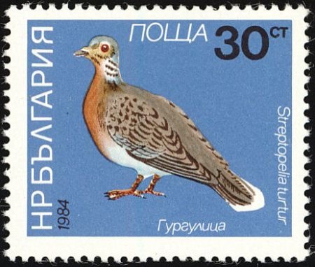 http://pernatidruzi.org.ua/pictures3/horlzvmark/3.jpg